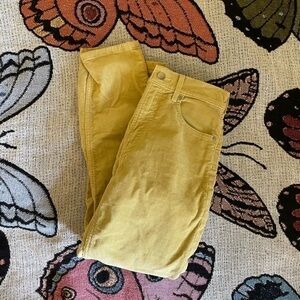 everlane corduroy pants